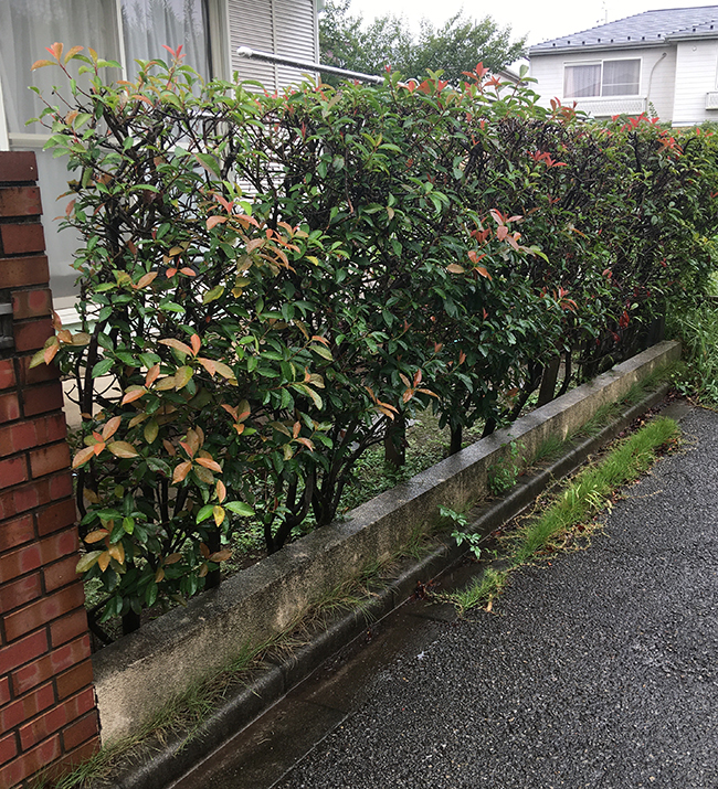 フェンス　工事