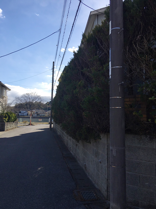 植栽伐採抜根作業から目隠しフェンス施工